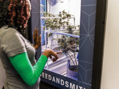 The Experience @ Seed & Smith Marijuana Dispensary Shakes up the Denver Marketplace Seed and Smith 6851 web