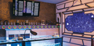 Sci-Fi Chic Lands in Eugene, Oregon