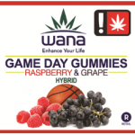 Award-winning Strategic Communications Expert Shawna Seldon McGregor Launches Maverick Public Relations image002