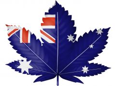 Australia Approves Medical Marijuana Exports as U.S. Threatens Crackdown on Industry shutterstock 120385528