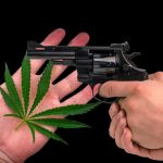 Medical Marijuana Patients May Have to Choose Between Owning a Gun and Access to Medicine shutterstock 462541603