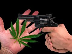Medical Marijuana Patients May Have to Choose Between Owning a Gun and Access to Medicine shutterstock 462541603