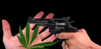 Medical Marijuana Patients May Have to Choose Between Owning a Gun and Access to Medicine shutterstock 462541603