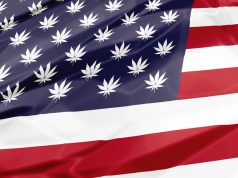 What Does Legal Marijuana in California Mean for the Rest of the Country? shutterstock 539633905