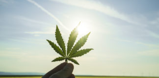 Even Poll by Anti-Marijuana Group Shows Public Wants Legalization shutterstock 666477832