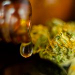 11-Year Old Girl in Illinois Allowed to Medicate With Marijuana on School Grounds shutterstock 777913861