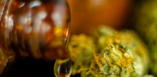 11-Year Old Girl in Illinois Allowed to Medicate With Marijuana on School Grounds shutterstock 777913861