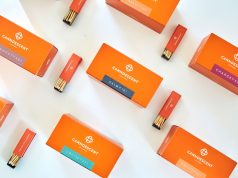 Canndescent Tour (Gallery) Shot 02 156jpg 2 preview