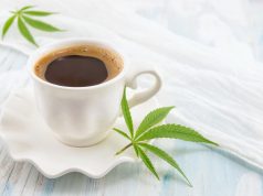 Denver Approves City’s First Cannabis Cafe mg Magazine Denver Cannabis Cafe