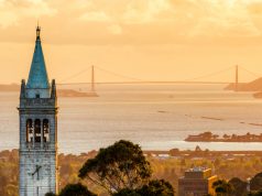 Berkeley Lowers Taxes on Recreational Cannabis to Deter Black Market Sales Berkeley lowers cannabis tax rates mg retailer
