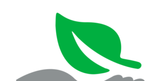 GB Sciences Files a Nonprovisional Patent Application for Cannabis-Based Anti-Inflammatory Therapies Including Arthritis, Asthma, Eczema and More gb sciences mg magazine