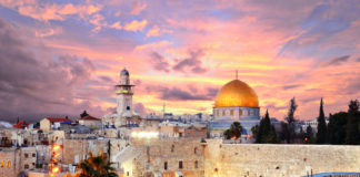 Israeli Company Signs $110 Million Deal to Export Medicinal Cannabis mg Magazine Israel Cannabis Exports