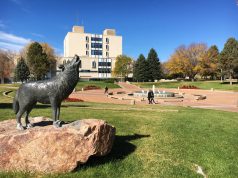 Landmark Study Finds Legal Cannabis Boosts Pueblo County Economy mg Magazine University of Colorado Pueblo