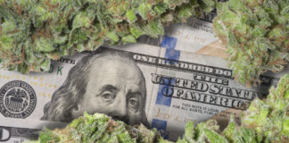 Wholesale Cannabis Prices Continue to Drop mg magazine cannabis prices drop