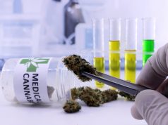 Pennsylvania to Allow Medical Cannabis Program to Expand and Greenlights Research mg retailer Pennsylvania cannabis research
