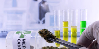 Pennsylvania to Allow Medical Cannabis Program to Expand and Greenlights Research mg retailer Pennsylvania cannabis research