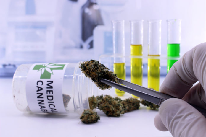 mg retailer Pennsylvania cannabis research