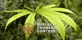 California Demands Weedmaps Cut Unlicensed Dispensary Ads mg magazine california bureau of cannabis control