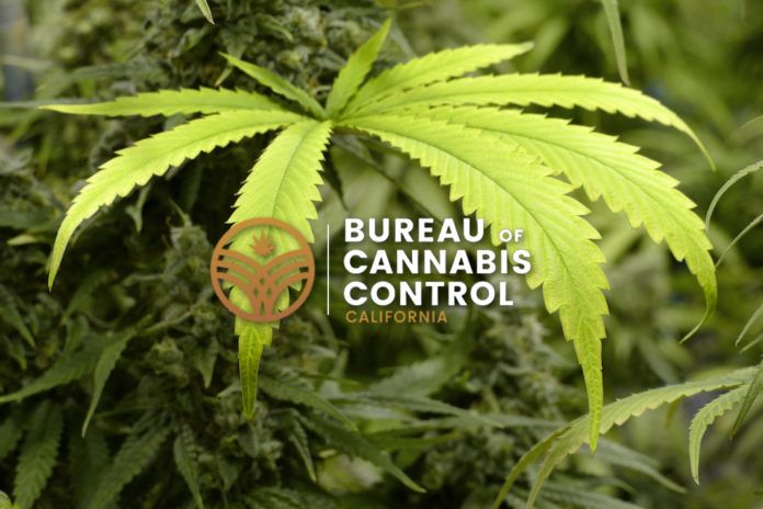 mg magazine california bureau of cannabis control