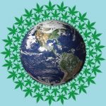 Strains: April Showers Bring the Flower Cannabis world mg magazine