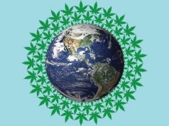 Strains: April Showers Bring the Flower Cannabis world mg magazine