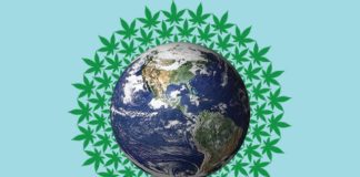 Strains: April Showers Bring the Flower Cannabis world mg magazine