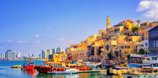 Israeli Company Partners with Pennsylvania Cultivator Israeli Cannabis company partners with Pennsylvania producer