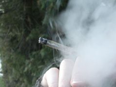 Study Says High CBD Cannabis Could Ease Anxiety, Depression with Two Puffs Joint and smoke mg magazine