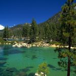 Henry’s Original Donates Trees to Lake Tahoe for Earth Day Lake Tahoe Cal Nevada