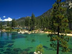 Henry’s Original Donates Trees to Lake Tahoe for Earth Day Lake Tahoe Cal Nevada