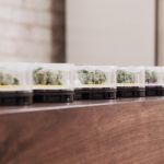 MedMen Takes Manhattan MedMen sample jars mg magazine