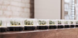 MedMen Takes Manhattan MedMen sample jars mg magazine