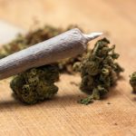 Michigan Residents Will Vote on Legalizing Recreational Cannabis in November Michigan recreational cannabis mg retailer