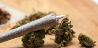 Michigan Residents Will Vote on Legalizing Recreational Cannabis in November Michigan recreational cannabis mg retailer