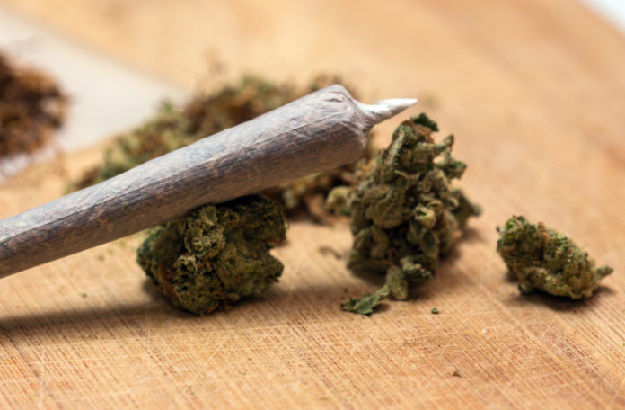 Michigan recreational cannabis mg retailer