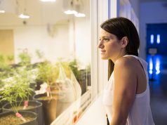 Rosie Mattio Public Relations: a Mainstream Approach Rosie Mattio