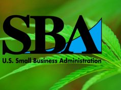 SBA Policy Change Chills Loans for ‘Cannabis-Related’ Businesses Sativa leaf SBA mg magazine
