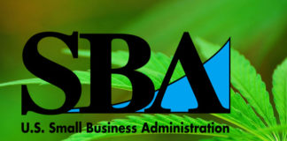SBA Policy Change Chills Loans for ‘Cannabis-Related’ Businesses Sativa leaf SBA mg magazine