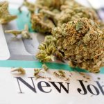 Recruiter: Cannabis Jobs No. 1 in Growth ZipRecruiter Marijuana Jobs mg retailer
