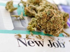Recruiter: Cannabis Jobs No. 1 in Growth ZipRecruiter Marijuana Jobs mg retailer