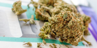 Recruiter: Cannabis Jobs No. 1 in Growth ZipRecruiter Marijuana Jobs mg retailer