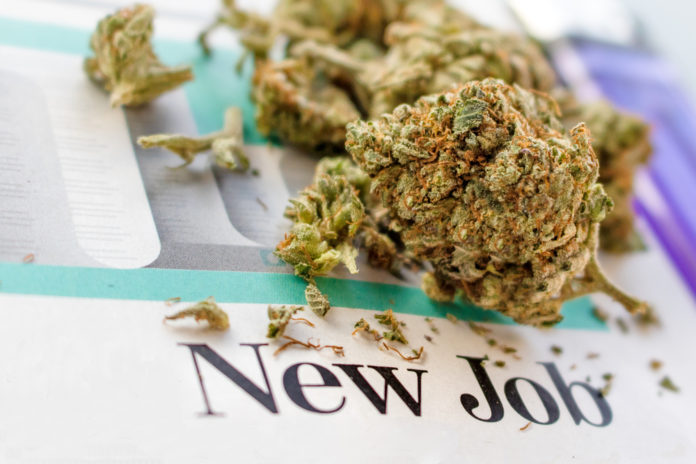 ZipRecruiter Marijuana Jobs mg retailer