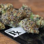 Medical Marijuana Bill Moves Forward in South Carolina