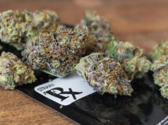 Medical Marijuana Bill Moves Forward in South Carolina