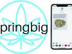 springbig Enters Canadian Cannabis Market with Cova Partnership springbig mg magazine