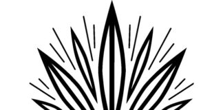 Bloom Farms Launches in Nevada in First Expansion Outside California BloomFarmsLogo