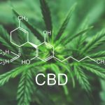 CBD Products in Michigan Will Now be Regulated Under Medicinal Cannabis Rules CBD medical marijuana Michigan mg Retailer
