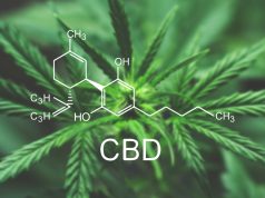 CBD Products in Michigan Will Now be Regulated Under Medicinal Cannabis Rules CBD medical marijuana Michigan mg Retailer