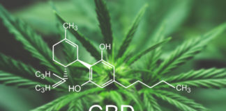 CBD Products in Michigan Will Now be Regulated Under Medicinal Cannabis Rules CBD medical marijuana Michigan mg Retailer