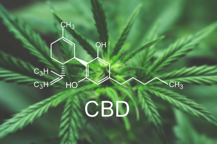 CBD medical marijuana Michigan mg Retailer
